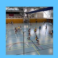 Image result for Kingfishers Netball Club