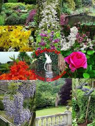 Image result for Ewhurst Stoolball Club