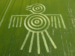 Image result for crop circles