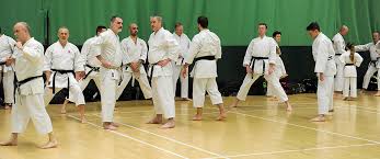 Image result for Harpenden JKA Karate Club