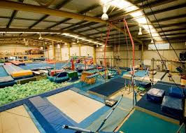 Image result for Hull High Flyers Gymnastics Club
