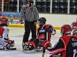 Image result for Peterborough Phantoms