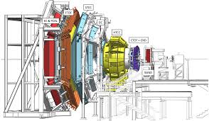 Image result for Netts