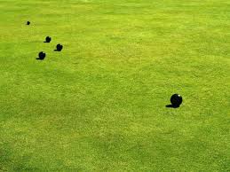 Image result for Ystradfechan Bowling Club