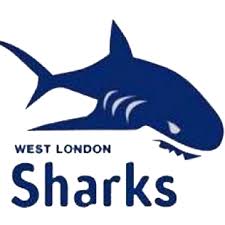 Image result for London Sharks Floorball Club