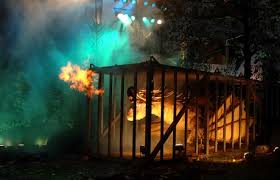 Image result for leicester dragons