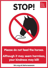 Image result for British Horse Society