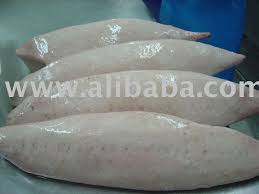 Image result for Thunnus alalunga