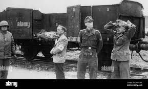 Image result for Wicker Camp