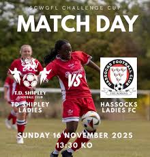 Image result for Hassocks Ladies FC