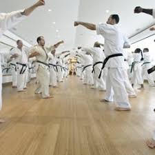 Image result for Hetton and Murton Karate Academy