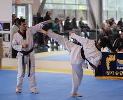 Image result for Surrey Taekwondo