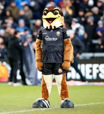 Image result for Exeter Saracens Rugby Football Club