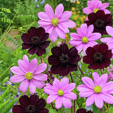 Image result for Schmuckkörbchen