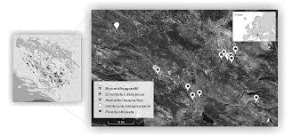 Attēlu rezultāti vaicājumam “Cinclidotus danubicus”