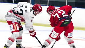 Image result for Swindon Panthers