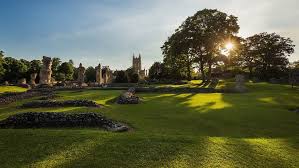 Image result for Bury St Edmund Shuttlers