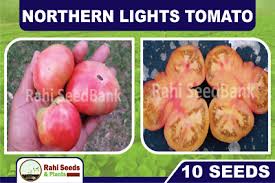 Afbeeldingsresultaat voor northern lights tomato