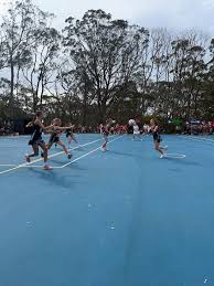 Image result for Bridgewater Netball Club