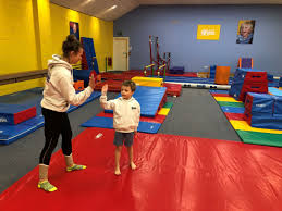 Image result for Harrogate School Of Gymnastics