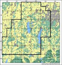 Attēlu rezultāti vaicājumam “Didymium bahiense”
