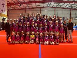Image result for Haverfordwest Gymnastics Club