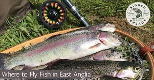 Image result for Suffolk Coastal Floaters