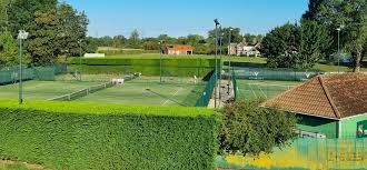 Image result for York University Tennis Club