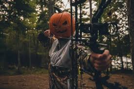 Image result for Orion Bowhunters