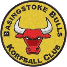 Image result for Basingstoke Demons Floorball Club