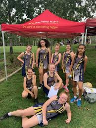 Image result for Hornets Netball Club