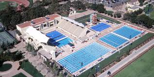 Image result for Buntingford Swimming Club