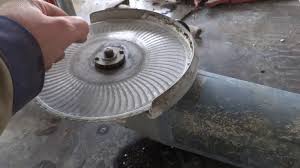 Картинки по запросу белку зажевало в диск