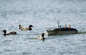 Image result for Rawdon Model Boat Club