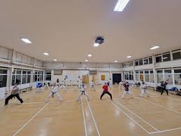 Image result for Ju Jitsu Tavistock