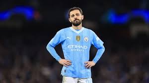 Image result for Silva L1 MidNite