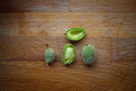Image result for fresh green almonds