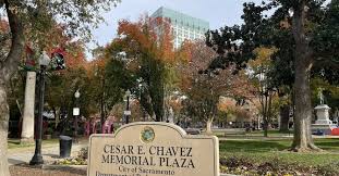 Image result for Pilgrims Sac