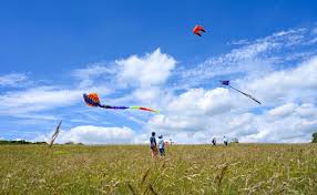 Image result for Brighton Kite Fliers