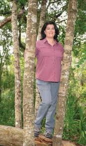 Image result for Mullion Smbc