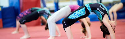 Image result for Redcar School Of Gymnastics