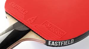 Image result for Eastfield Badminton Club