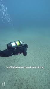 Image result for skiptondivers