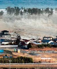 Hasil gambar untuk tsunami jepang