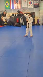 Image result for Tsunami Karate Club