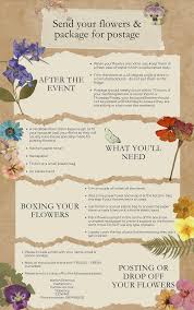 Image result for Kilkenny Bandits