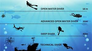 Image result for Deep and Wide Diving
