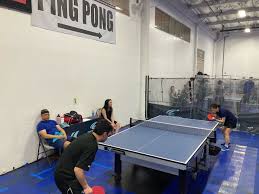Image result for Reigate Roystons Table Tennis Club