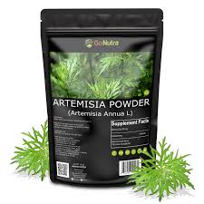 Image result for Artemisia annua