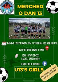 Image result for Drefach Cricket & Football Club